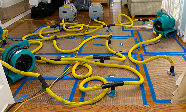 Professional Burst Pipe Water Damage technician working in Virginia, MN